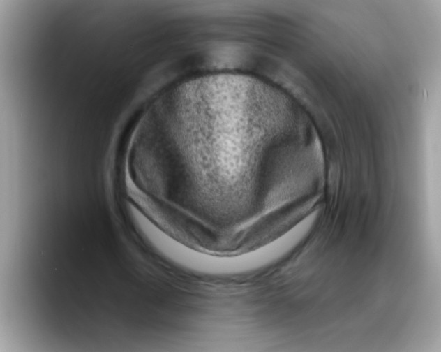 X0000089760722200707201942
