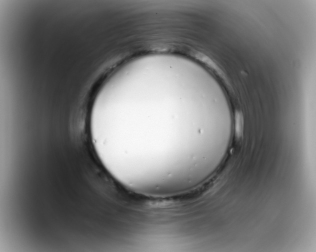 X0000089760723200707201942