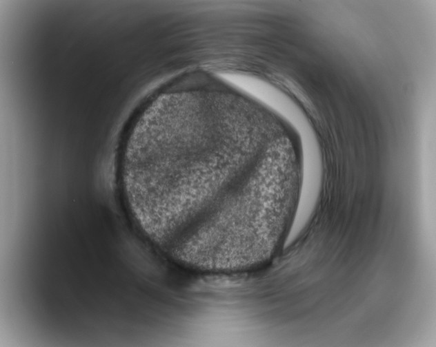 X0000089760724200707201942