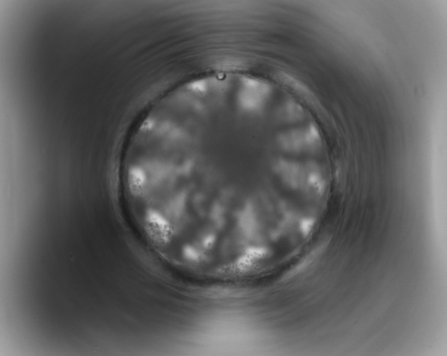 X0000089760725200707201942