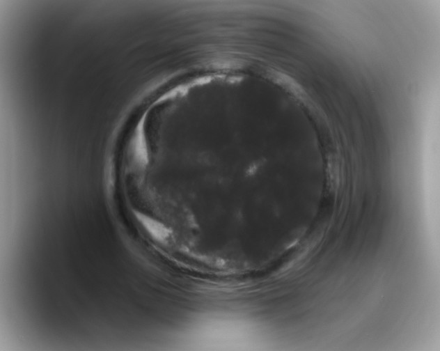 X0000089760726200707201942