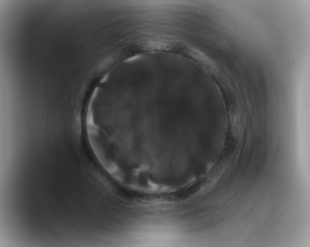 X0000089760729200707201942