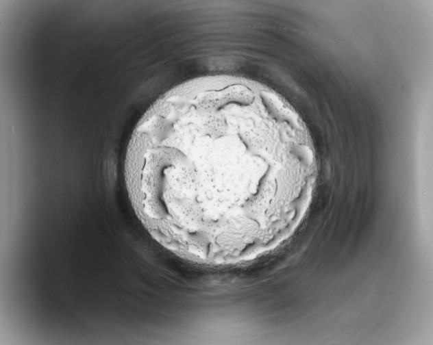 X0000089760733200707201942