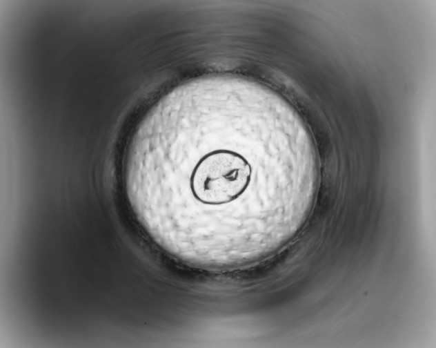 X0000089760734200707201942
