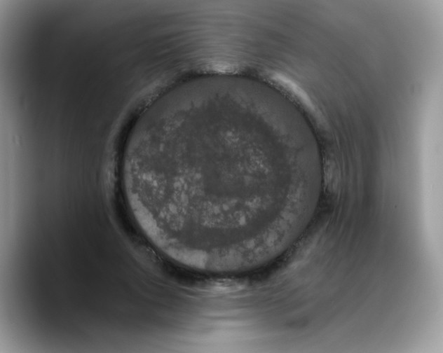 X0000089760736200707201942
