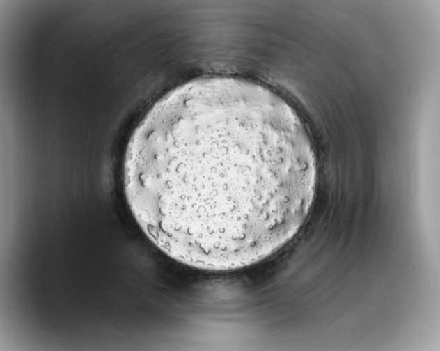 X0000089760738200707201942