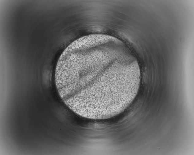 X0000089760739200707201942