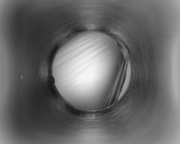 X0000089760740200707201942