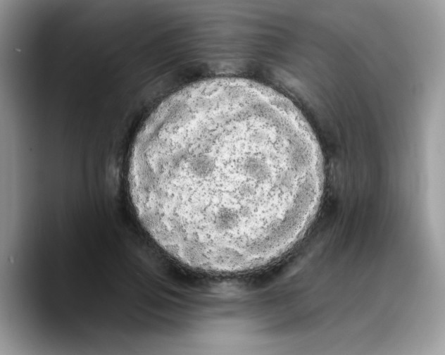 X0000089760741200707201942