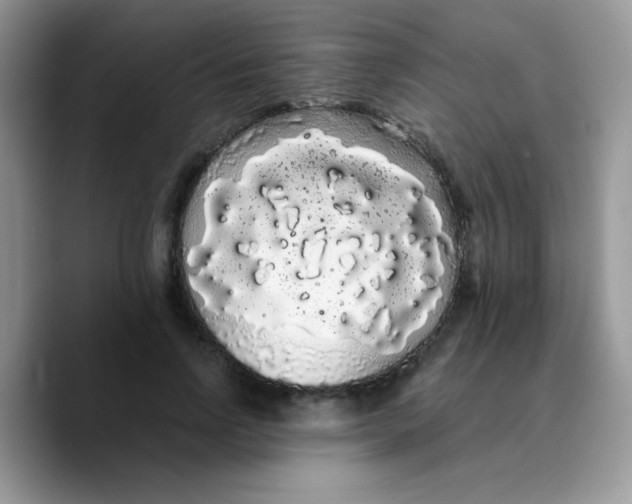 X0000089760742200707201942
