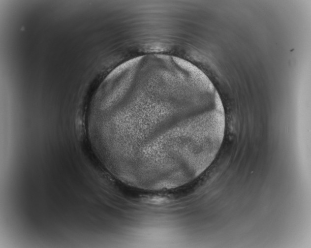 X0000089760743200707201942