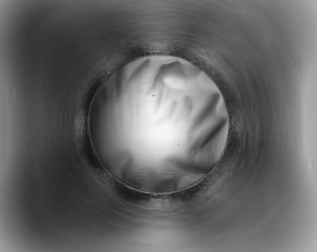 X0000089760744200707201942
