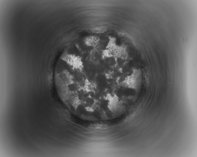 X0000089760745200707201942