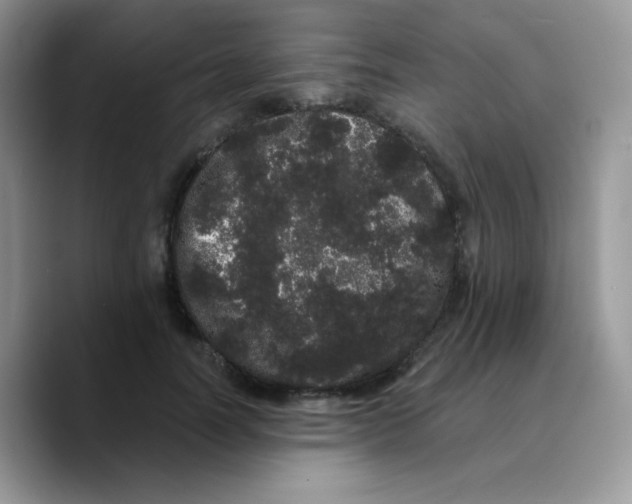 X0000089760746200707201942