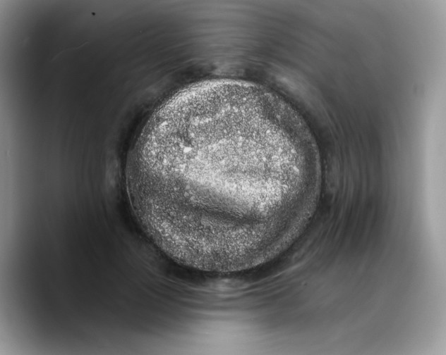 X0000089760748200707201942