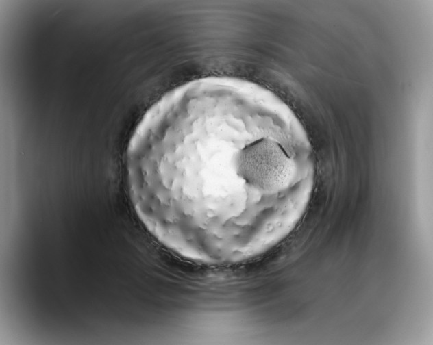 X0000089760749200707201942