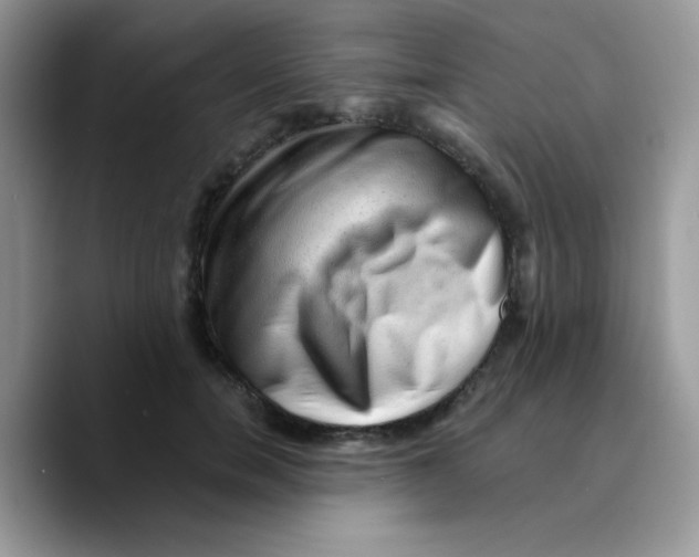 X0000089760750200707201942
