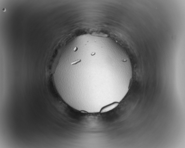 X0000089760756200707201942