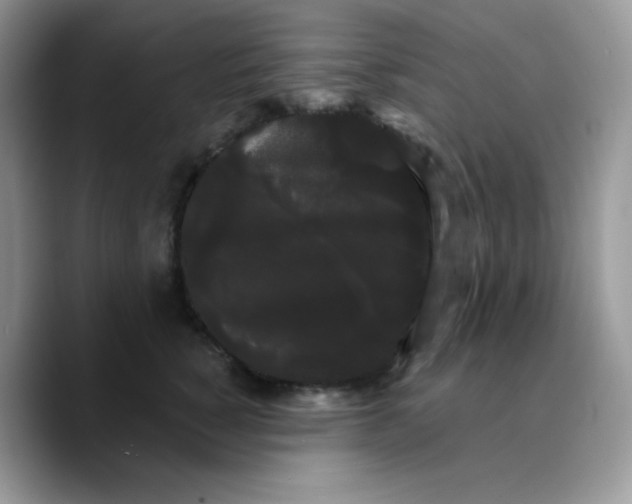 X0000089760760200707201942