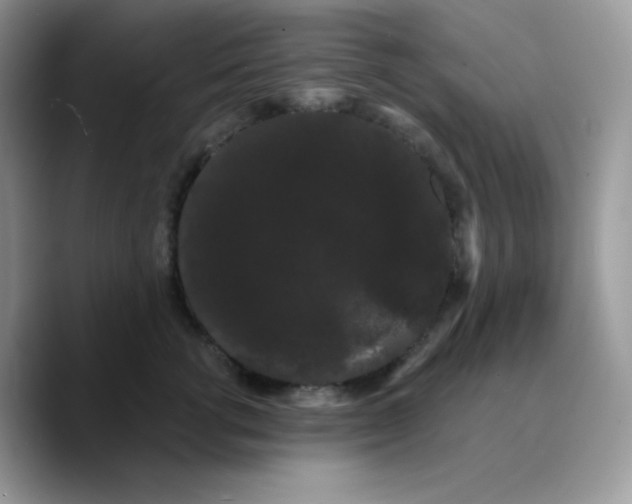 X0000089760762200707201942