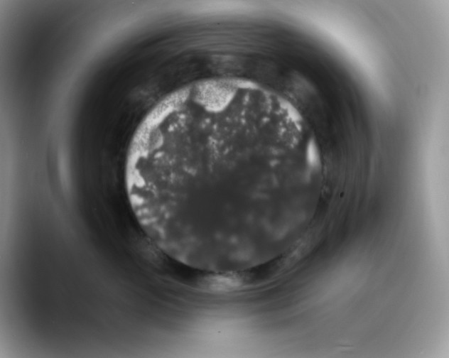 X0000089760765200707201942