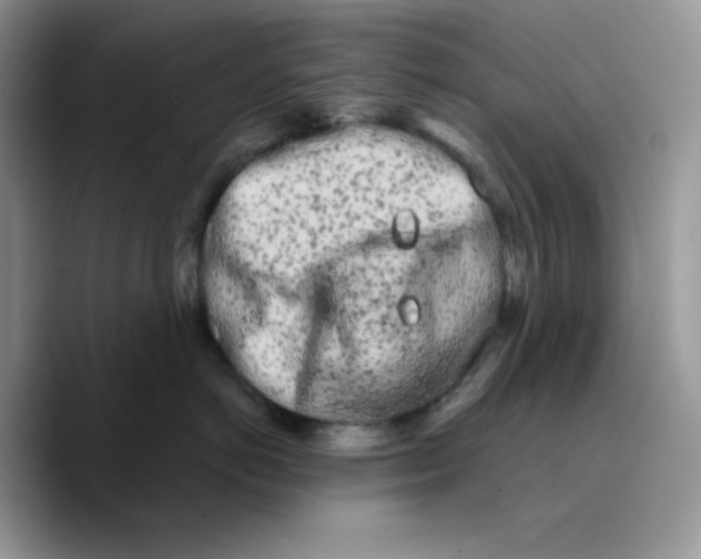 X0000089760766200707201942