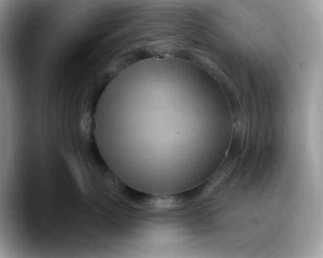 X0000089760767200707201942