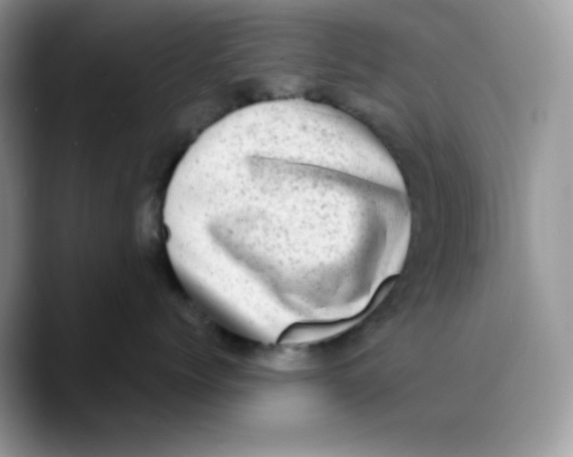 X0000089760768200707201942