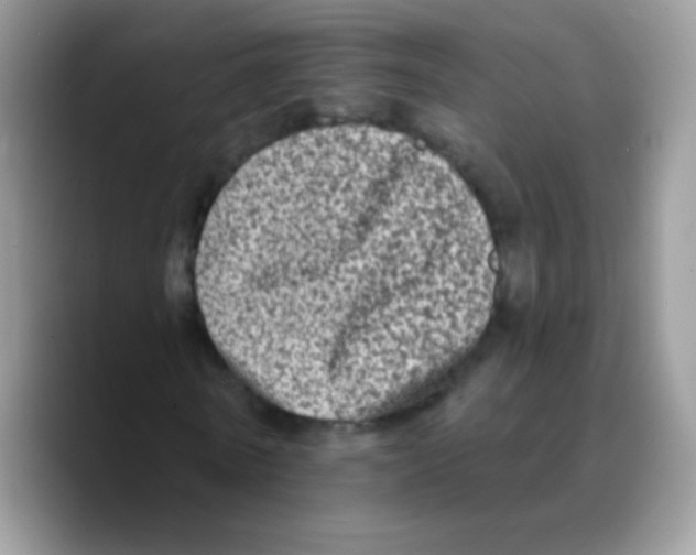 X0000089760770200707201942