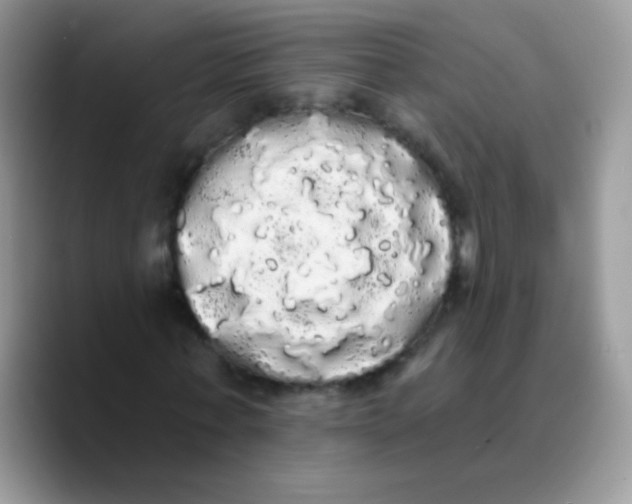 X0000089760771200707201941