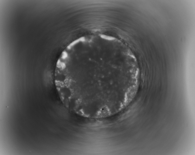 X0000089760772200707201941