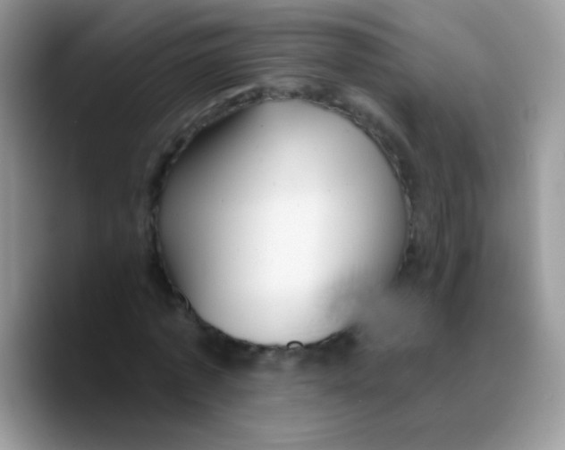 X0000089760773200707201941