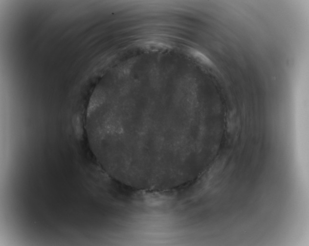 X0000089760774200707201941