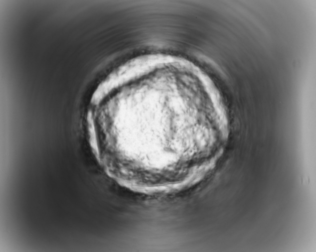X0000089760776200707201941
