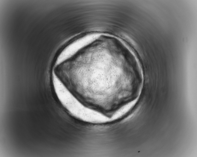 X0000089760779200707201941