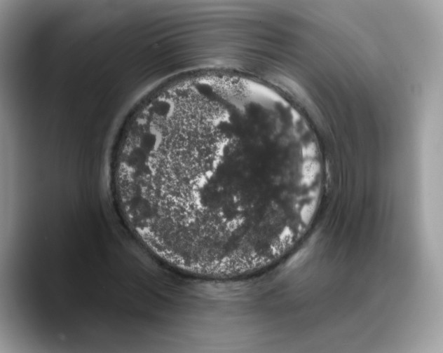 X0000089760780200707201941
