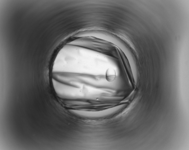 X0000089760781200707201941