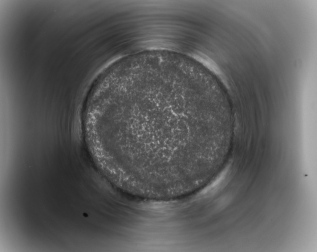 X0000089760782200707201941