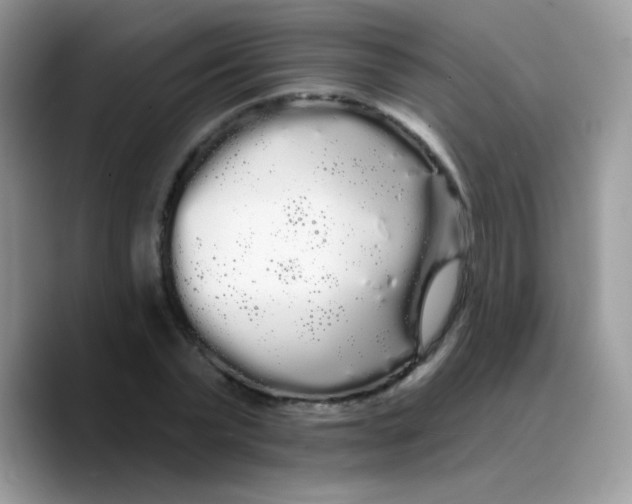 X0000089760783200707201941