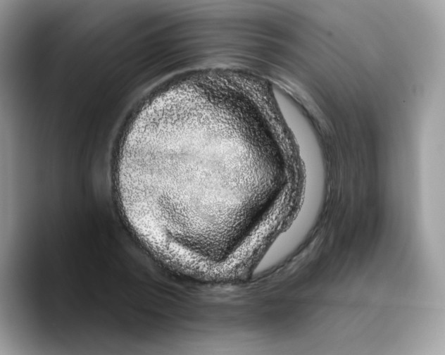 X0000089760784200707201941