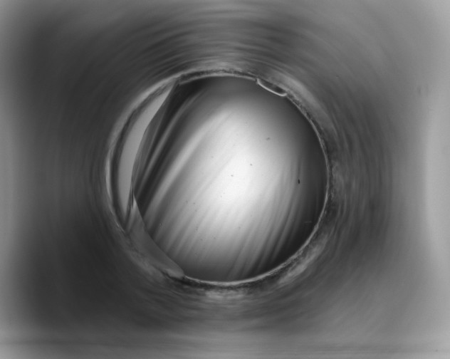 X0000089760788200707201941