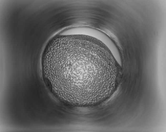 X0000089760792200707201941