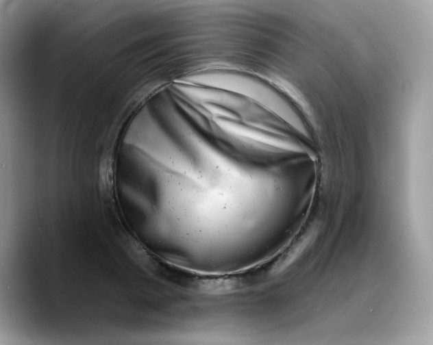 X0000089760793200707201941