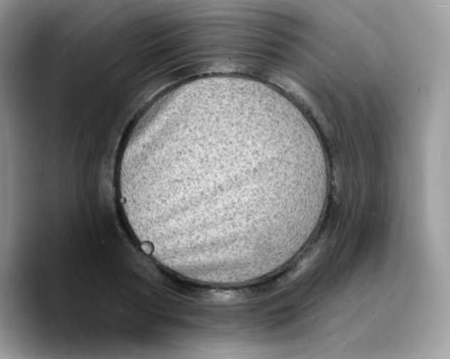 X0000089760794200707201941