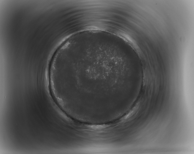 X0000089760796200707201941