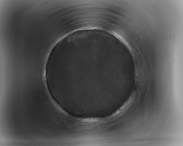 X0000089760797200707201941