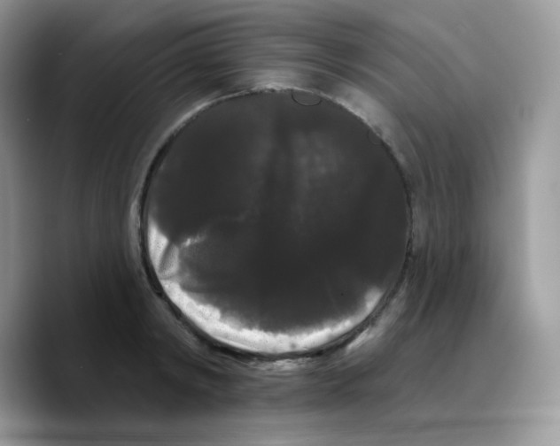 X0000089760798200707201941