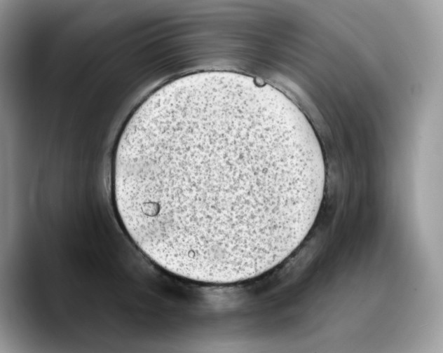 X0000089760804200707201941