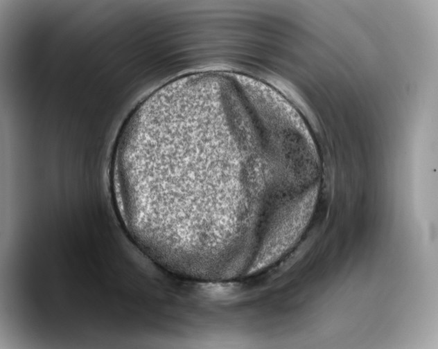 X0000089760805200707201941