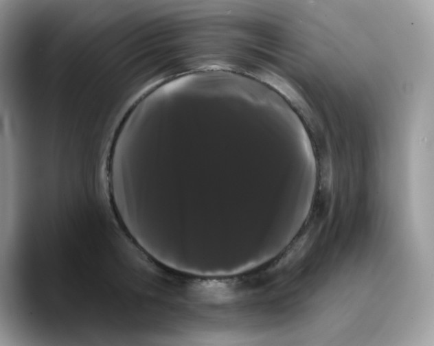 X0000089760806200707201941